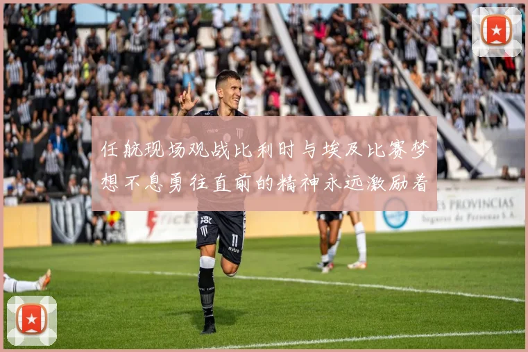 任航现场观战比利时与埃及比赛梦想不息勇往直前的精神永远激励着我们