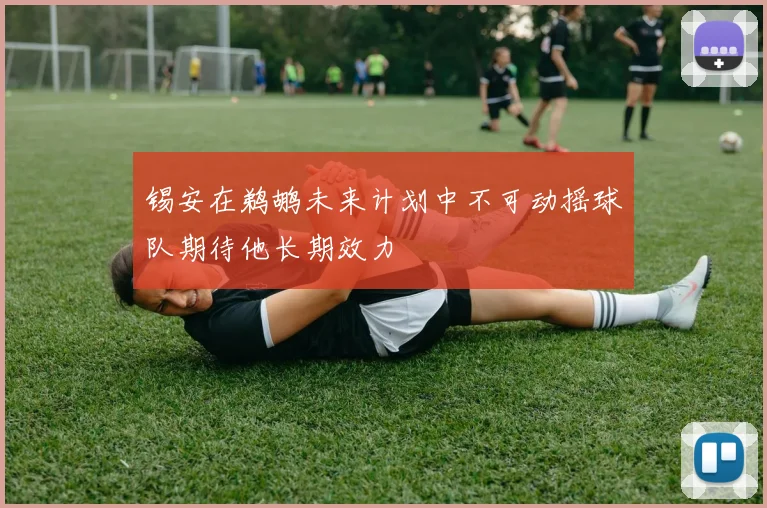 锡安在鹈鹕未来计划中不可动摇球队期待他长期效力