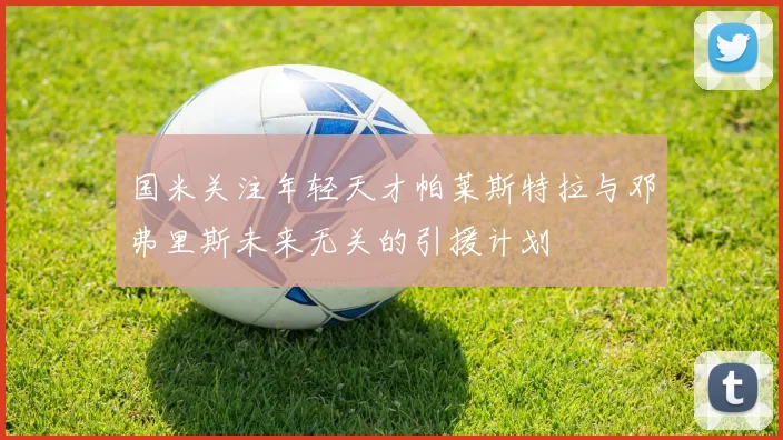 国米关注年轻天才帕莱斯特拉与邓弗里斯未来无关的引援计划